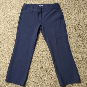 Express Straight Leg Slacks